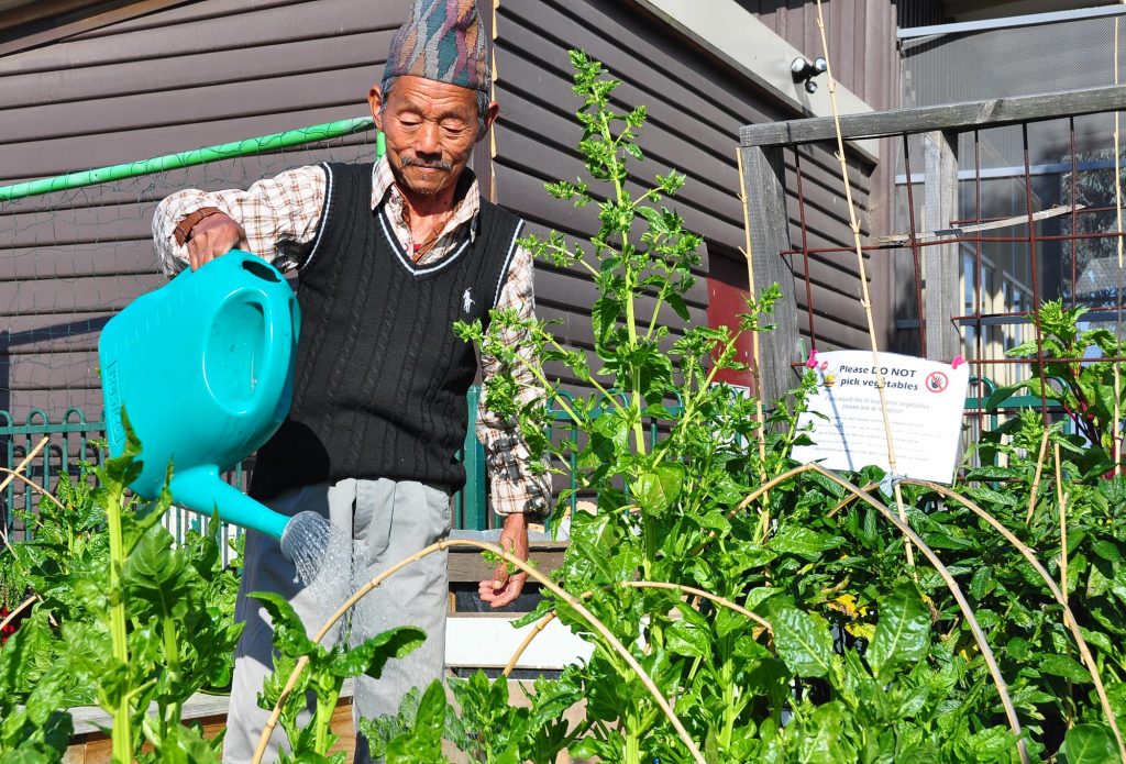 Man watering garden with watering can